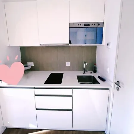 Central Apartment Zurich